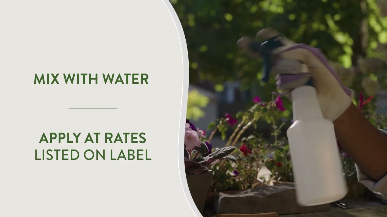 Using Garden Safe® Neem Oil Extract Concentrate in Your Home Garden
