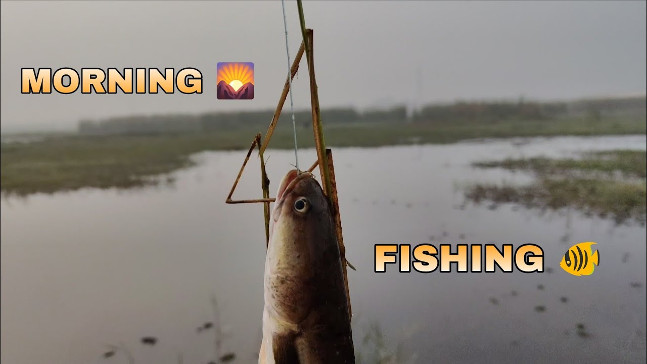 #fishing #fish #fishinglife 🐠🐠
