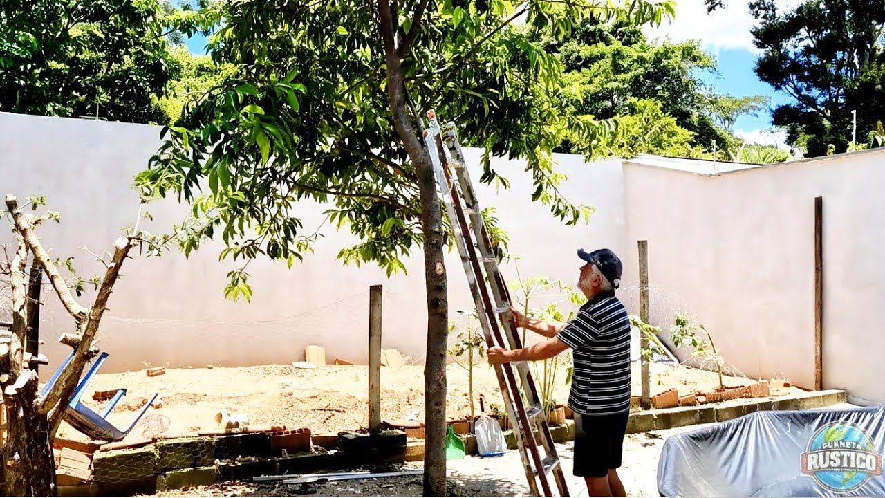 Vida simples: limpando o quintal e podando árvores