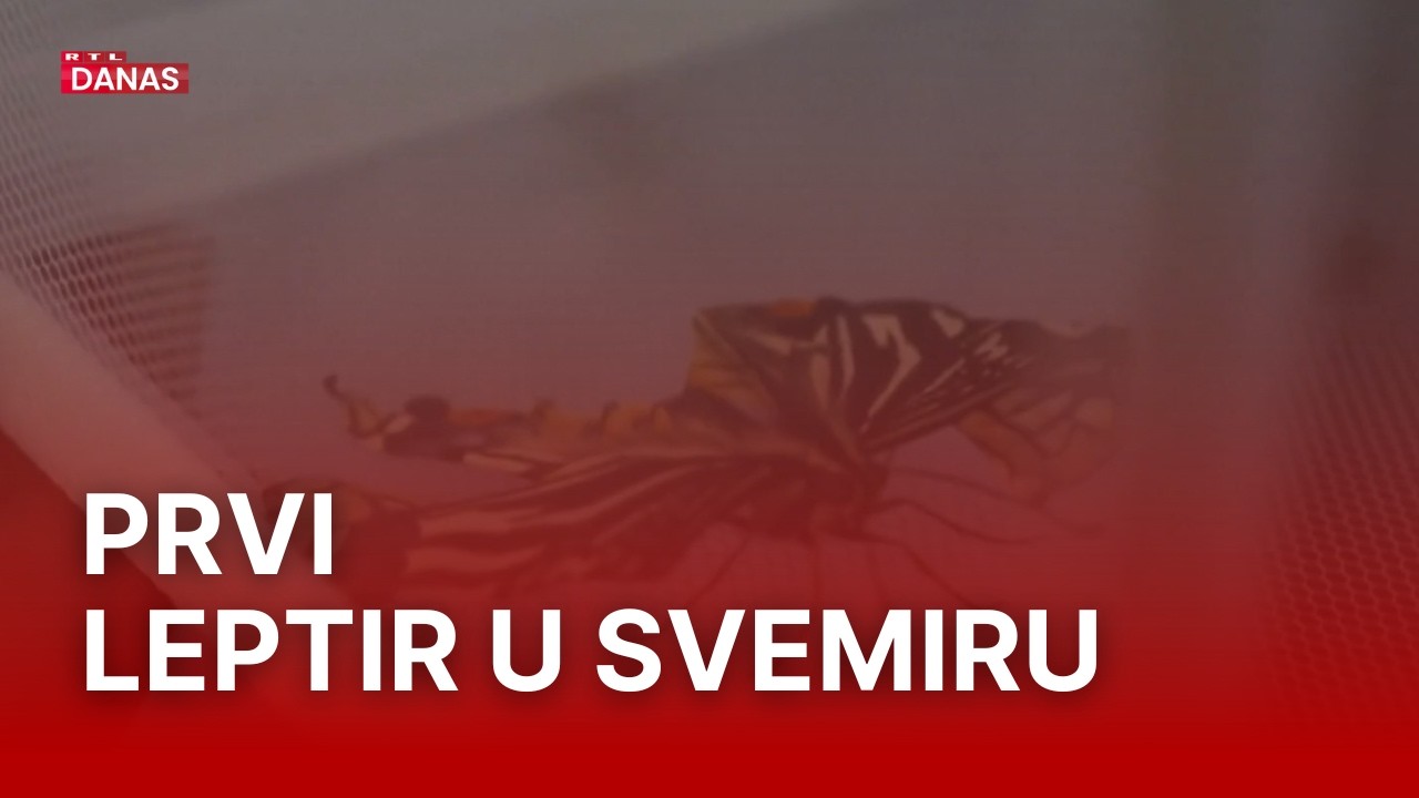 Nakon žohara i pauka, sad je na njega došao red: Izlegao se u bestežinskom stanju | RTL Danas