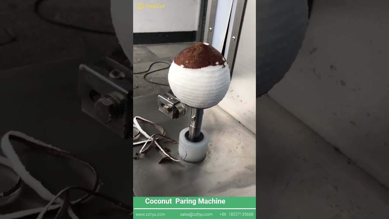 Coconut Paring Machine