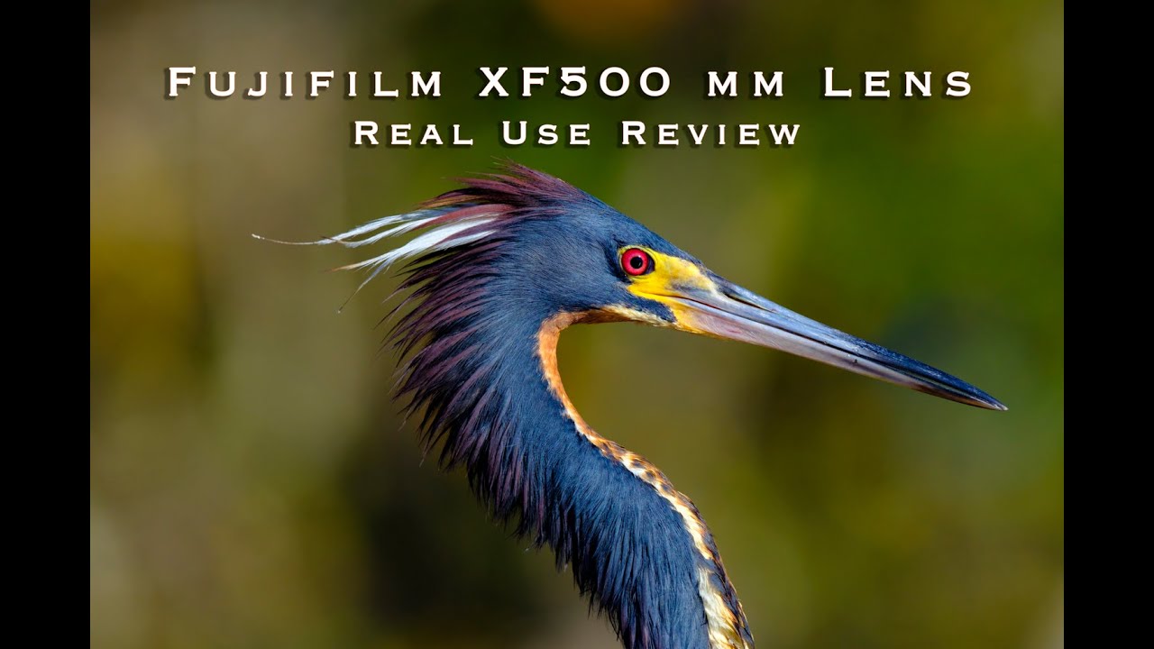 Обзор объектива Fujifilm XF500 mm в реальных условиях использования.