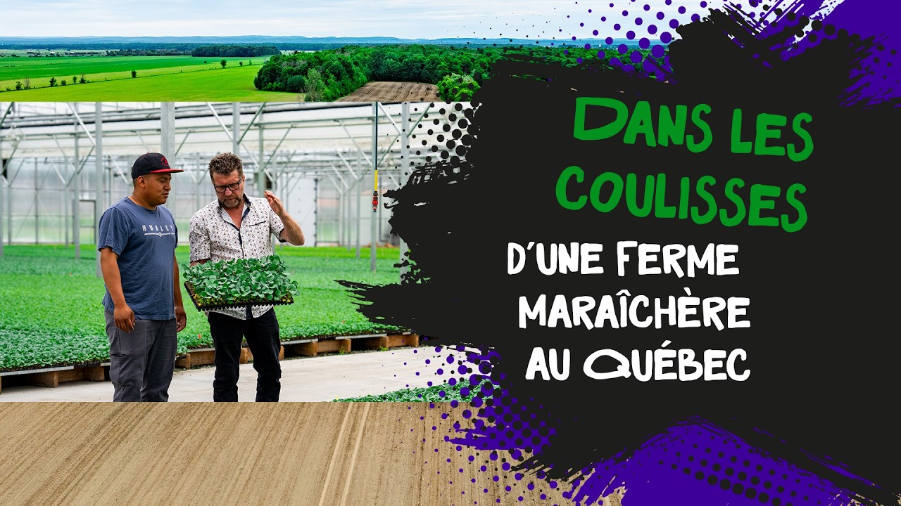 Dans les coulisses d’une ferme maraîchère au Québec | Productions Maraîchères Mailhot
