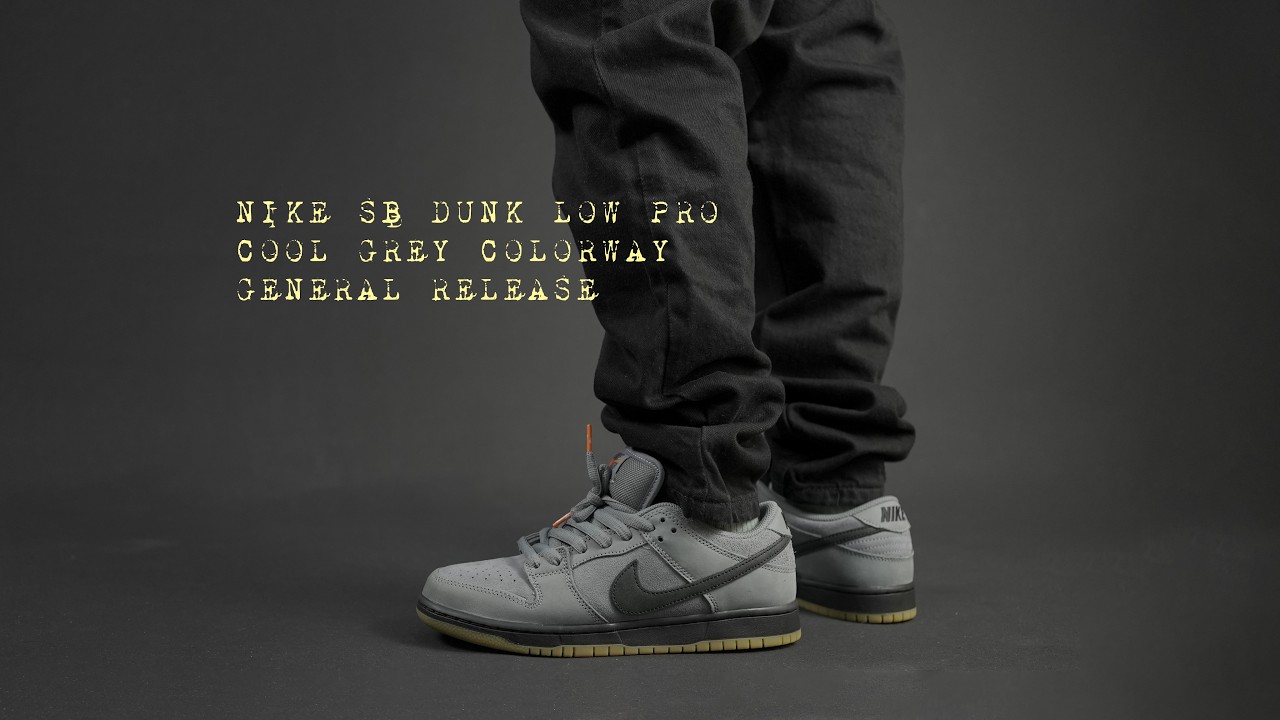 Nike SB Dunk Low Pro Cool Grey On Feet Review: No Regrets Buying This!