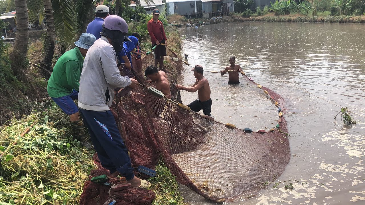 Ao nhà ngày thứ hai 