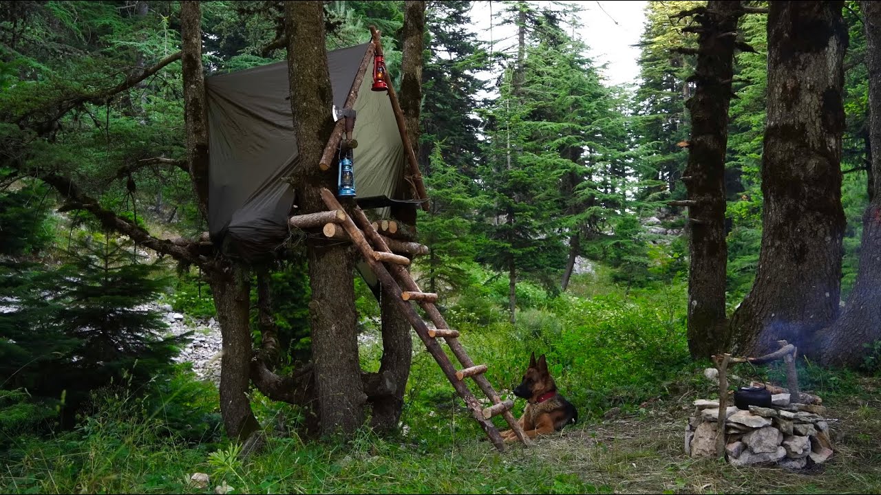 Строительство полного и безопасного приюта для выживания - Кемпинг Bushcraft в дикой местности с мое
