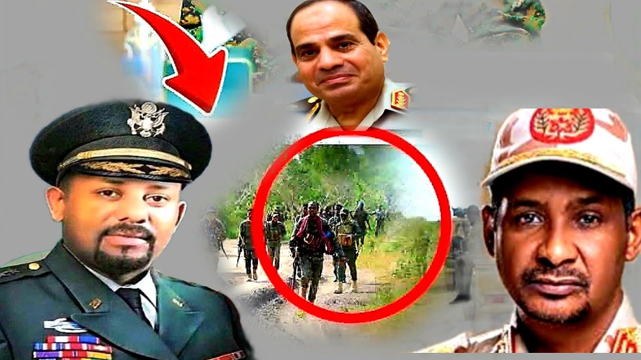 Parliament's warning to EgyptSudanese and Egyptians fight in the media..