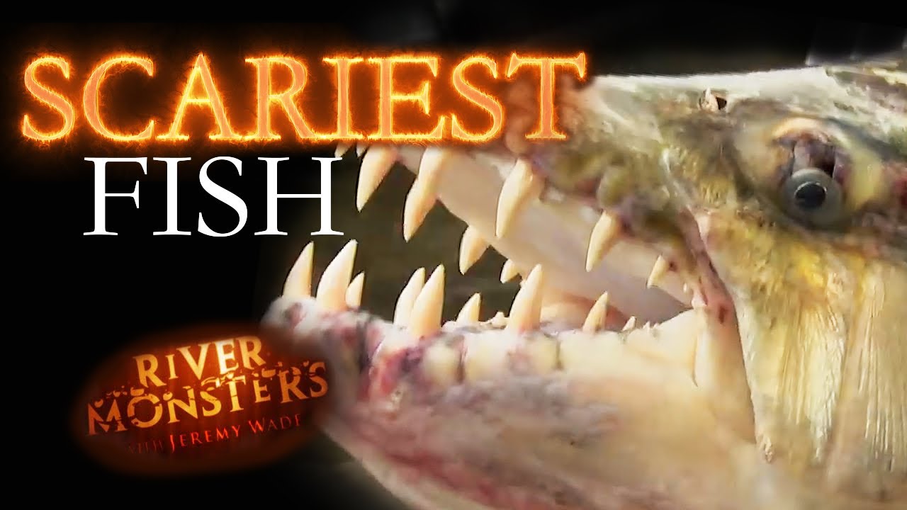 Scariest Fish | River Monsters
