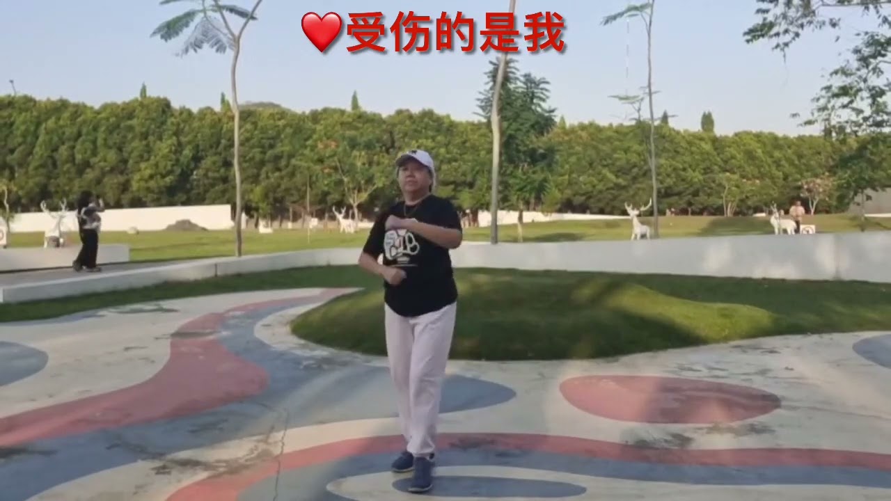 DANCE COVER 288 ❤受伤的是我