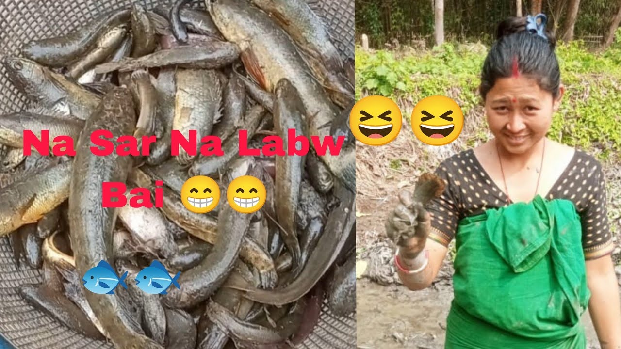 Na Sarna Laibai Lwgwfwr 🐟🐠  || Lamaya Nw Gwjan Tar 🥵