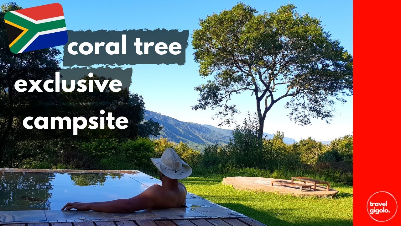 Обзор кемпинга: эксклюзивный кемпинг Coral Tree, Magoebaskloof (кемпинг в Лимпопо, Южная Африка)