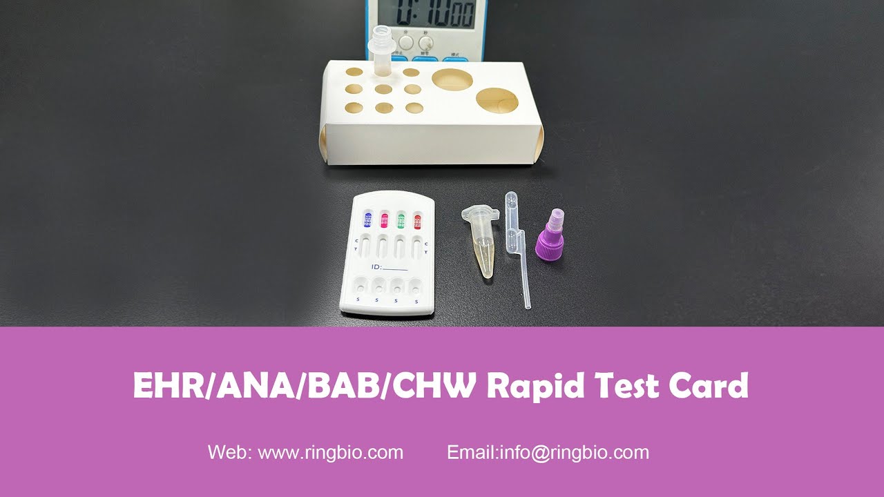 C10811 Ringbio Canine Ehrlichia/Anaplasma/Babeis gibsoniAb and Heartworm Ag Rapid Test Card,