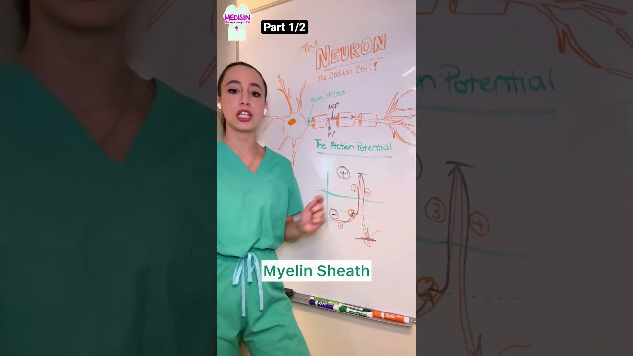 🔥 HOT TOPIC: Action Potential (Part 2/2) #medisin #medicine #neuro #health #science #medisinstyle