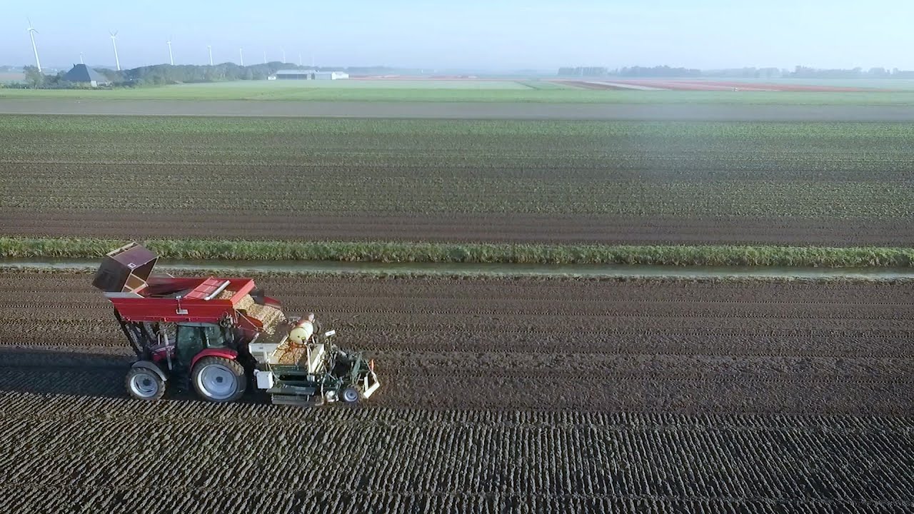 TV: Kringlooplandbouw vergroot kans op dierziekten