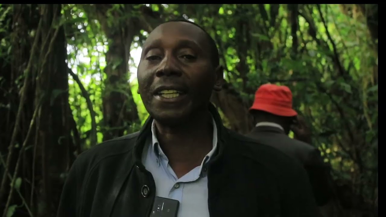 MAMBO YA KUSTAAJABISHA MSITU WA ASILI NYUMBANITU NJOMBE
