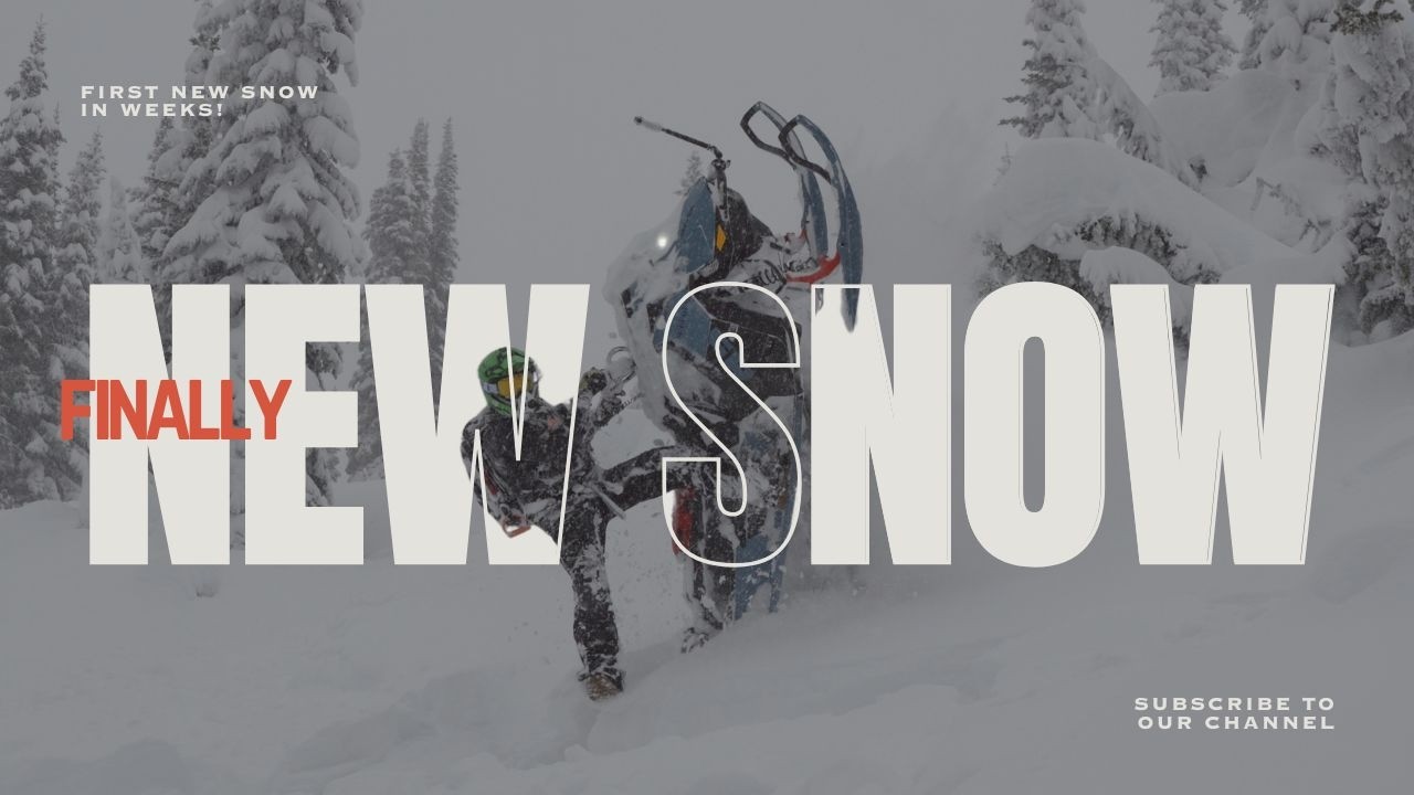 FIRST NEW SNOW! Backcountry Sledding Sicamous BC