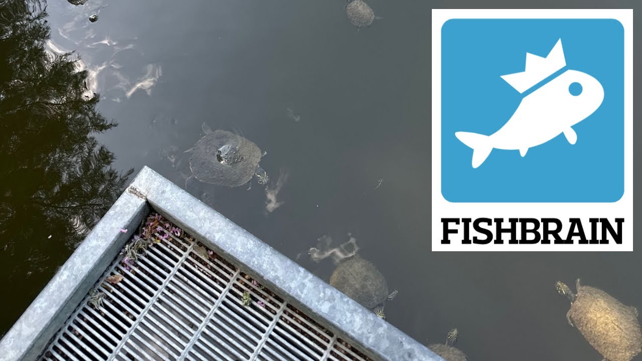 How To Find New Fishing Spots Using Fishbrain