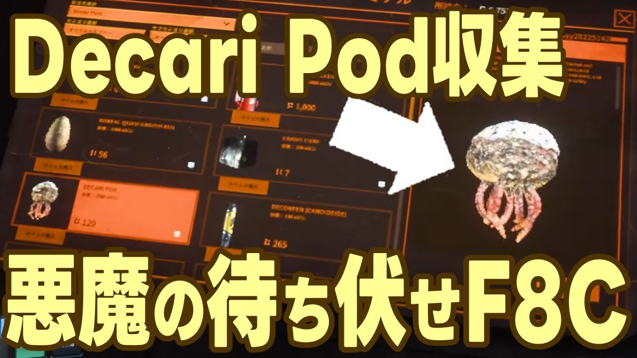 Star Citizen Hangout！日常生活の合間にリラックスするために、ちょびっとのんびりスタシチ｜出入り自由