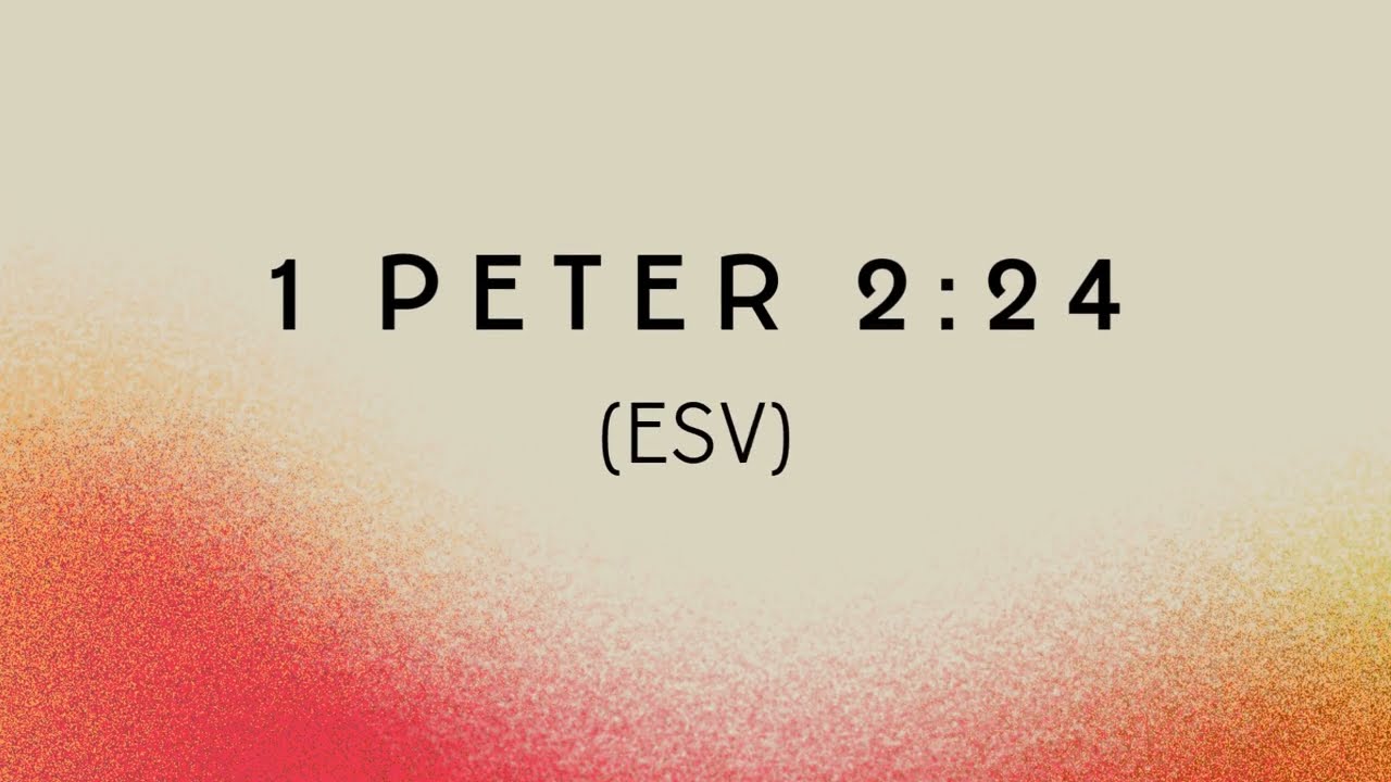 1 Peter 2:24 (ESV)