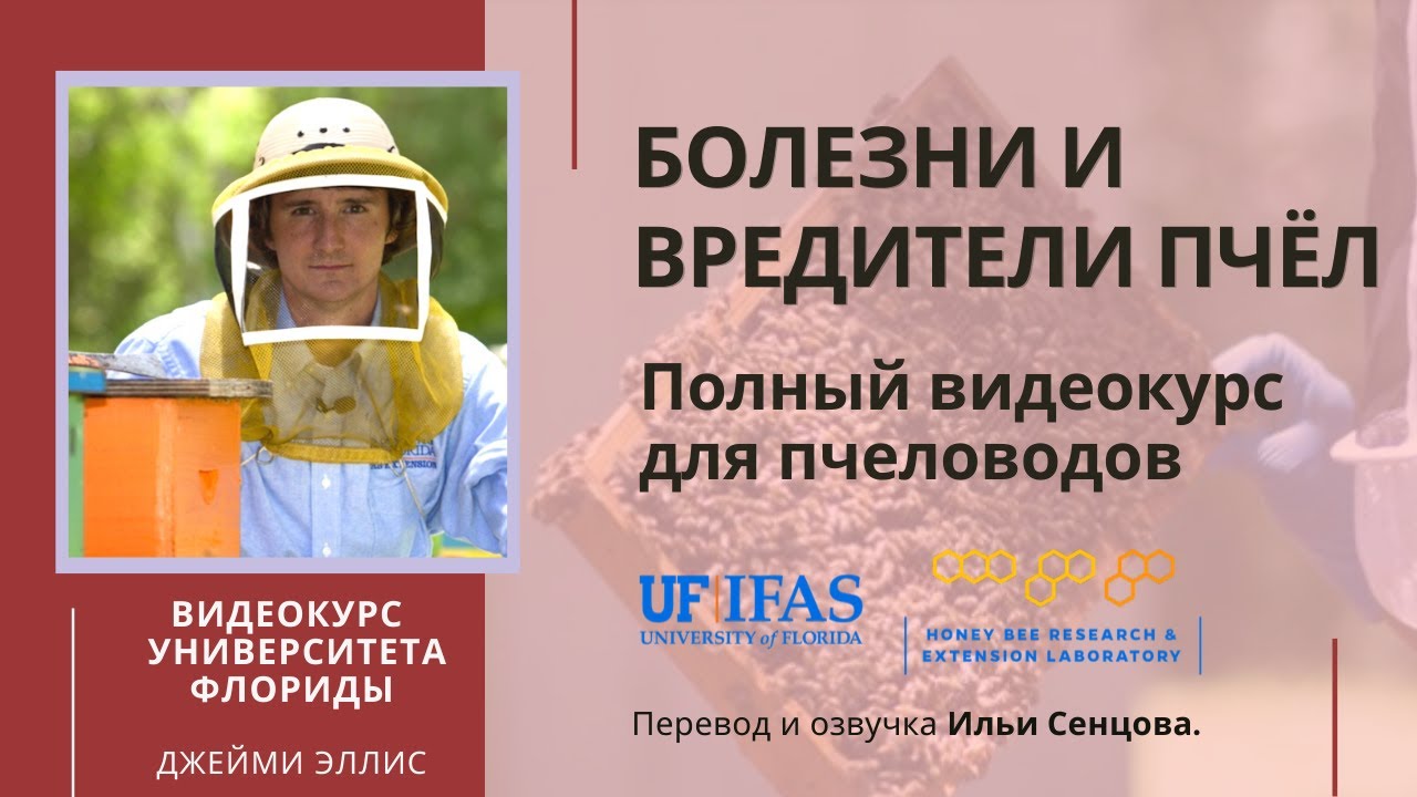 Болезни и вредители пчел. Полный видеокурс Университета Флориды