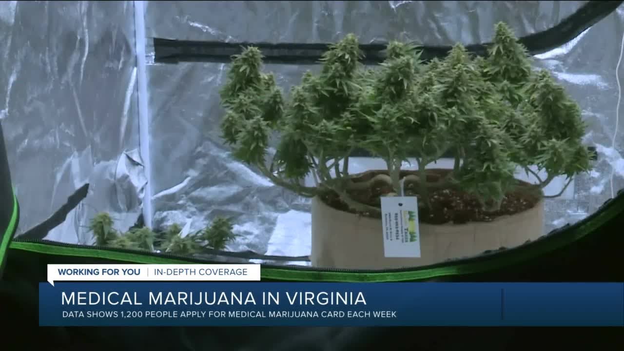 Thousands apply for medical marijuana cards in Virginia
