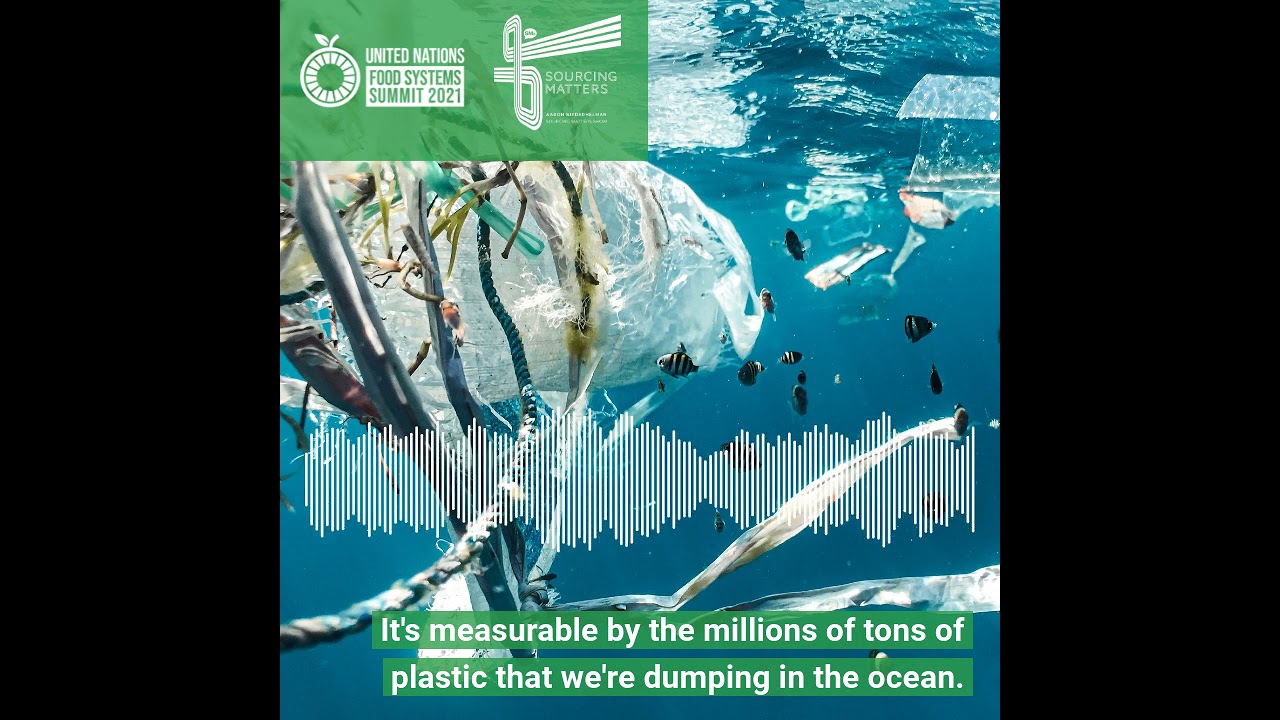 Laying Down Tracks | Episode 3: Nature-Based Production / Blue Economy | #UNFSS2021