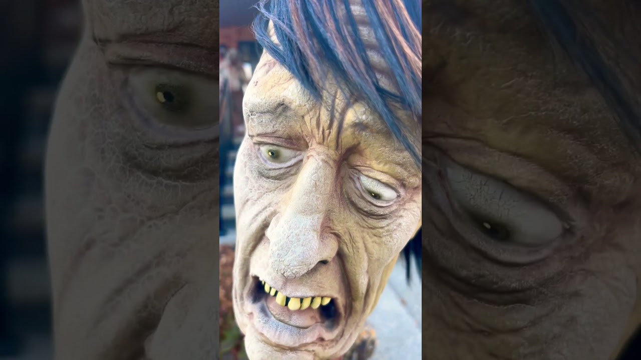 #halloween #fypシ #scary #youtubeshorts #trickortreating #usa #canadianzombie#run#huntedzone