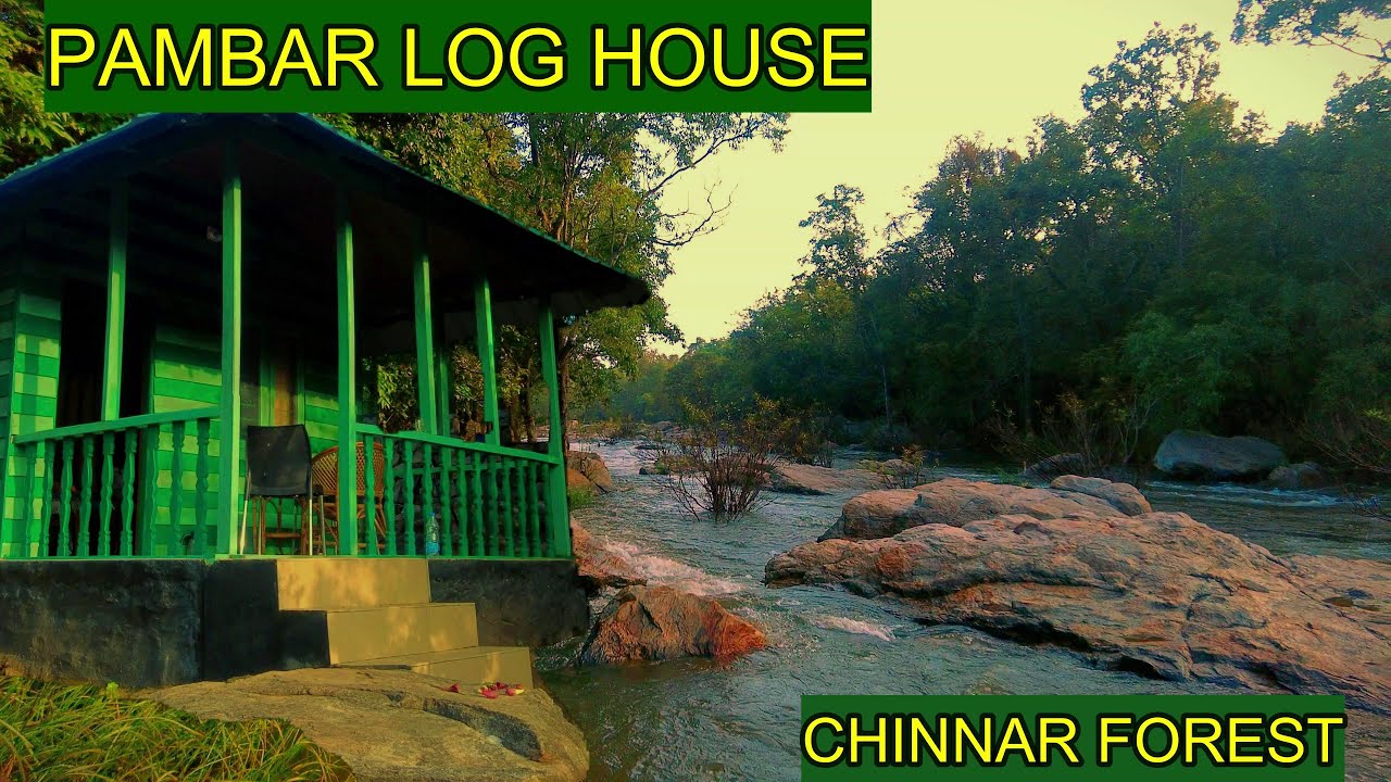 ചിന്നാർ കാട്ടിലെ പുഴയോട് ചേർന്ന് ഒരു സ്റ്റേ | PAMBAR LOG HOUSE | 4KUHD