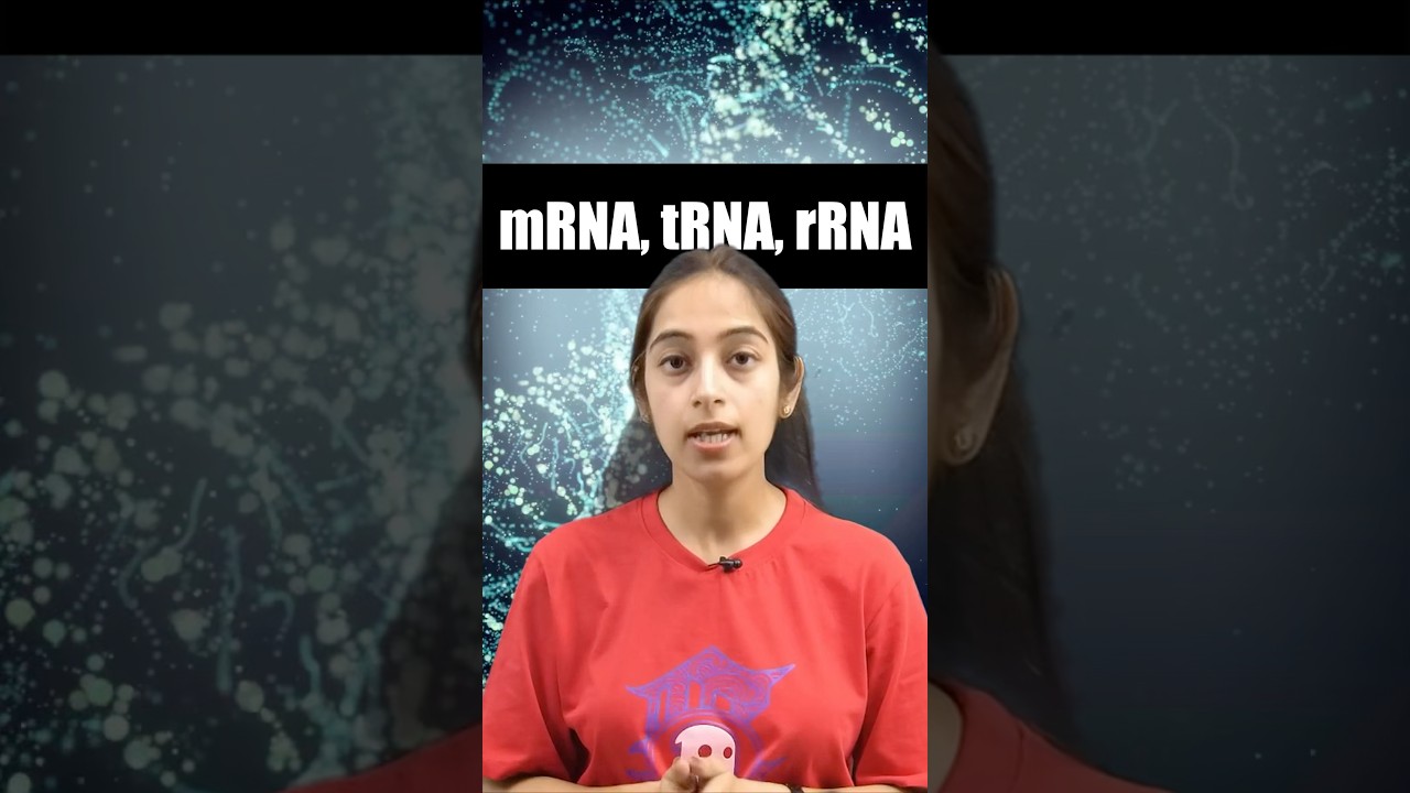 Types Of RNA