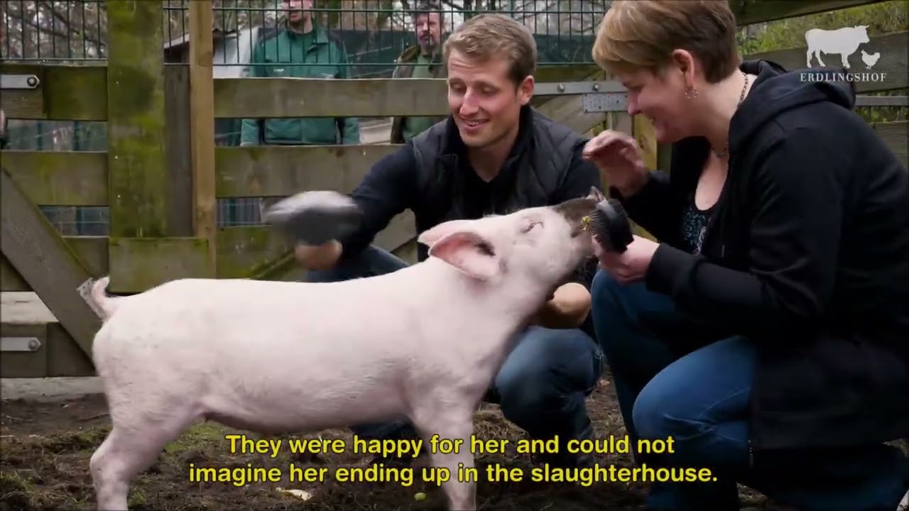 08.03.2017 - Viktorias Sprung in die Freiheit 🐷
