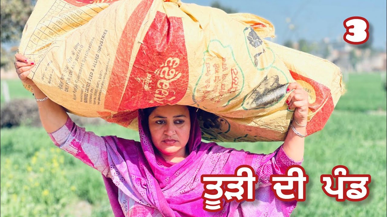 ਤੂੜੀ ਦੀ ਪੰਡ (3) todi di pand @banturampurawala-rq7kg