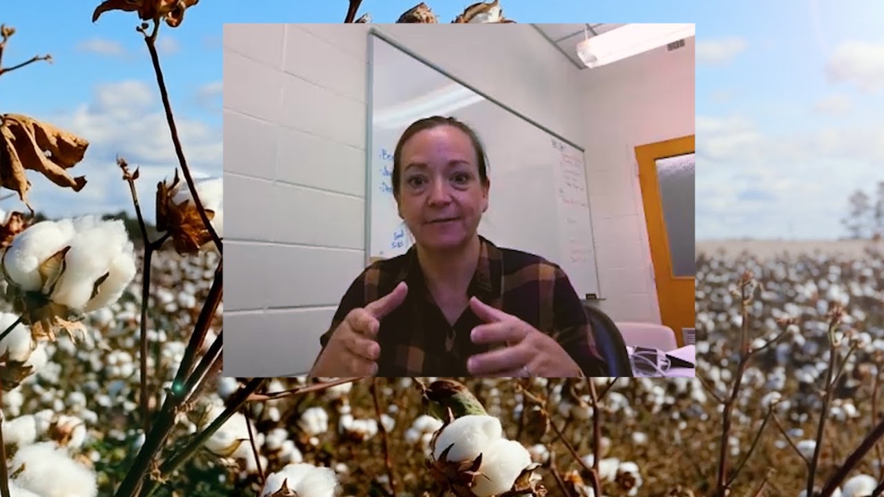 Multidisciplinary Research Part 2 | The Race to Control A Cotton Virus