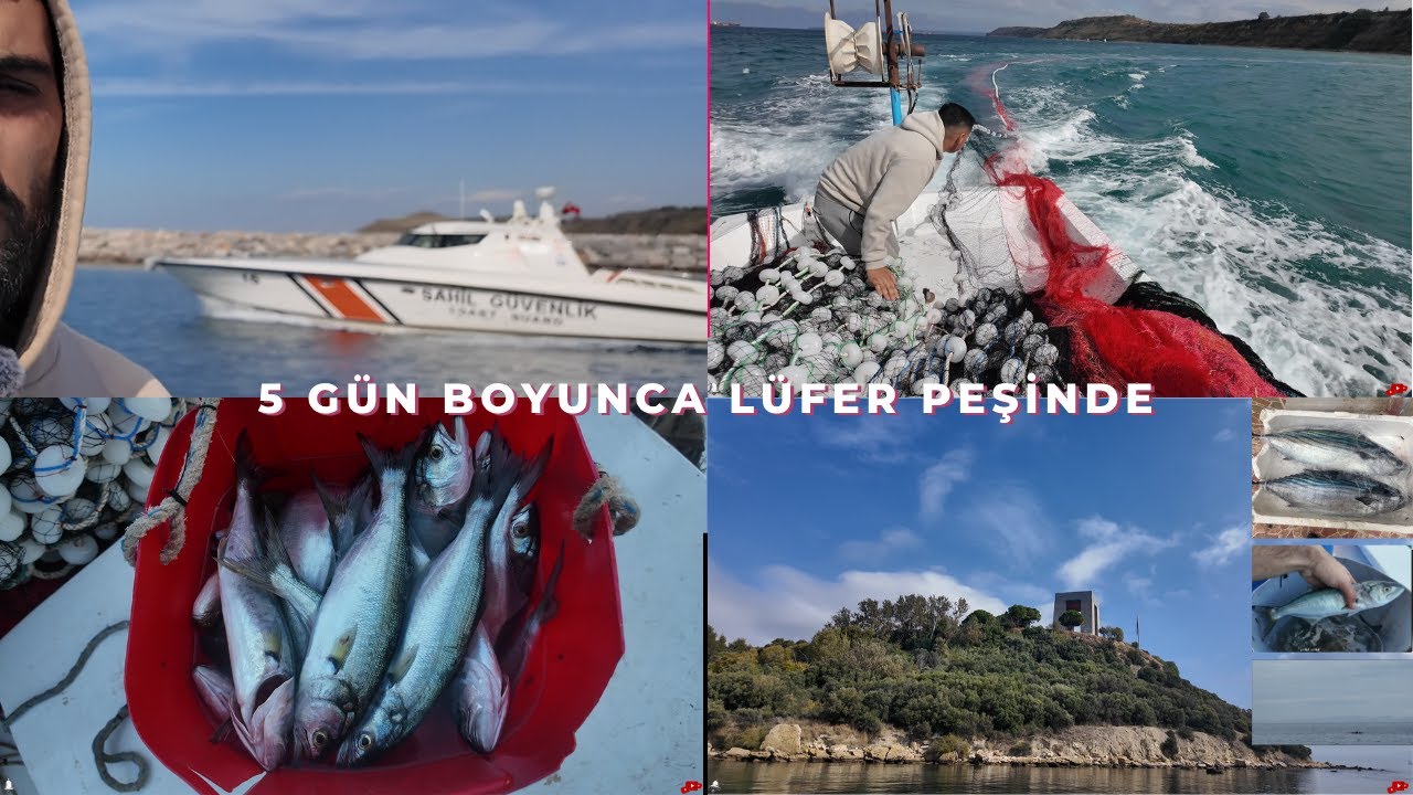 5 Gün Boyunca Lüfer Peşinde: Karaya Oturduk, Ağları Parçaladık!
