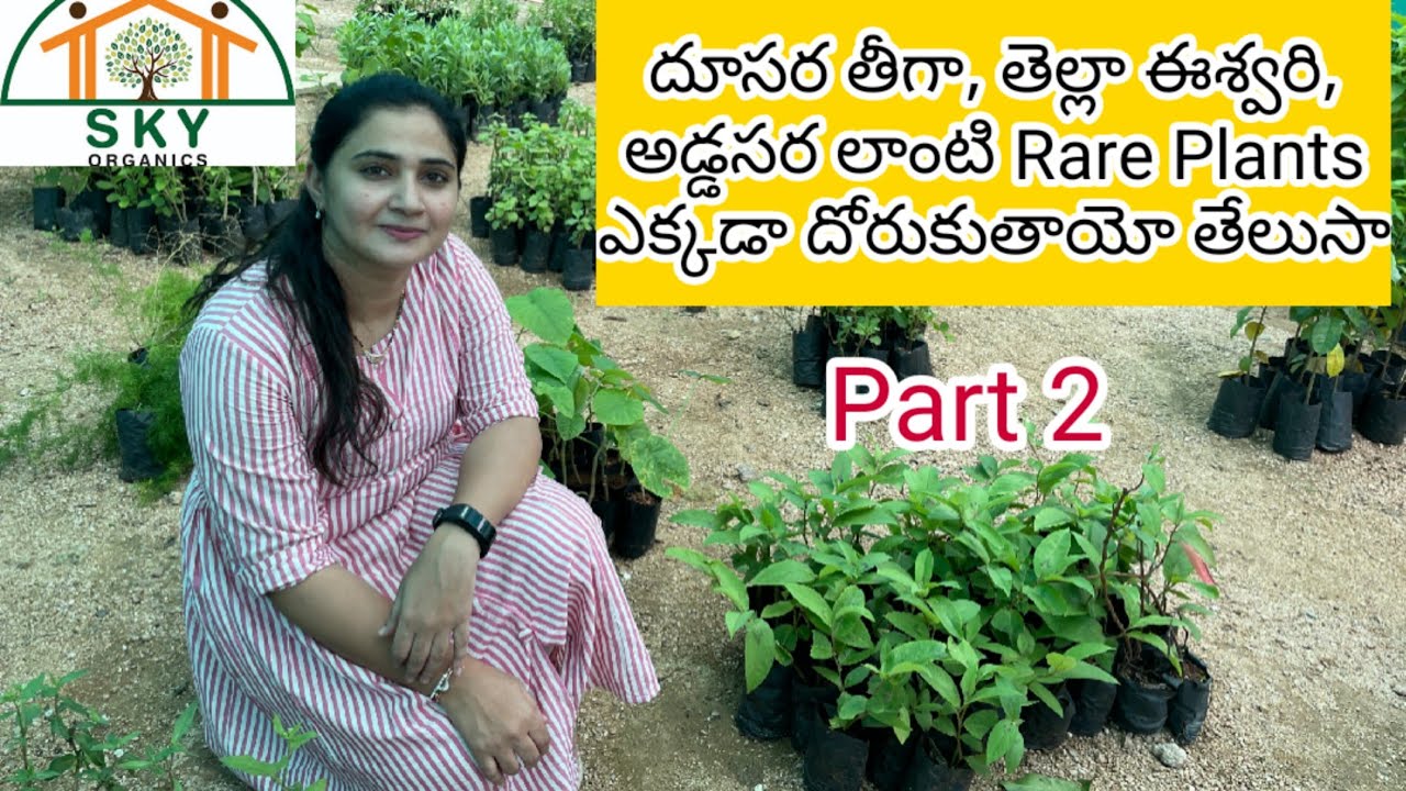 Rare Medicinal Plants @Rs. 120 Each || Sky Organics Plant Nursery || Zindagi Unlimited Telugu Vlogs