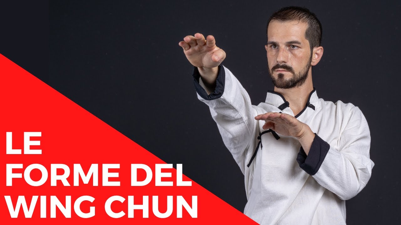 Le forme fondamentali del WING CHUN [ Scoprire il Wing Chun ]