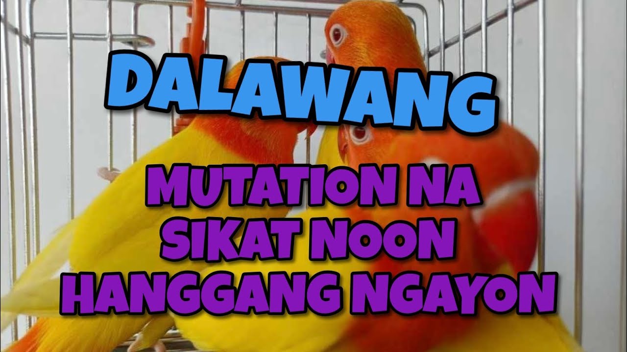 Mga Sikat Mula Noon Hanggang Ngayon