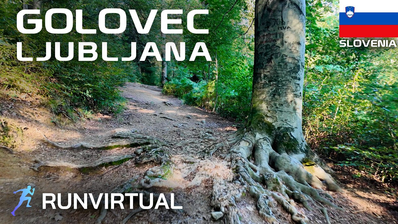 Trail Running in Slovenia: Golovec Hill and Forest
