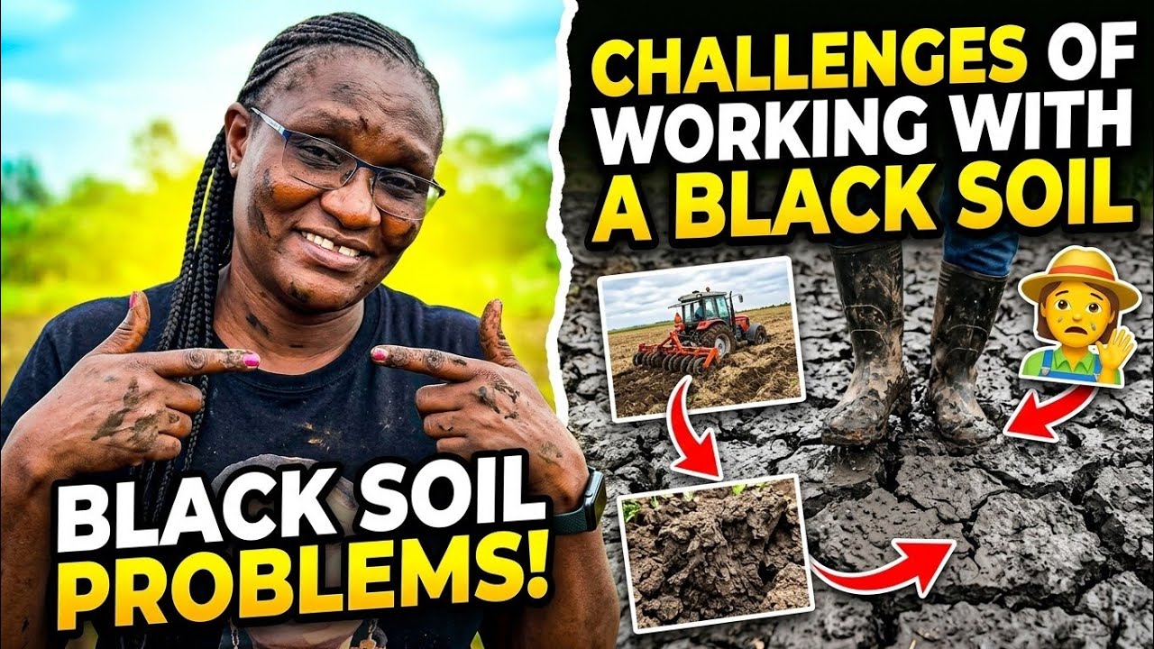 Challenges of working with black soil in the village