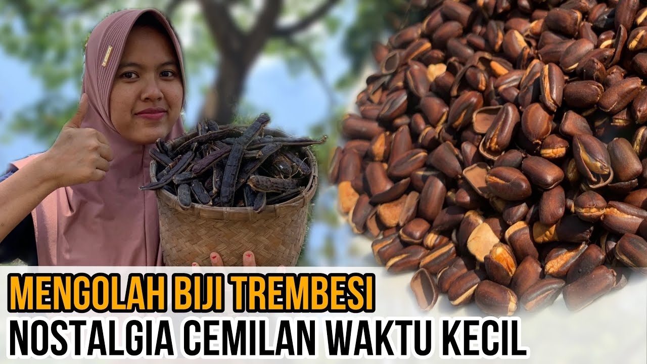 MENGOLAH GODRIL BIJI TREMBESI UNTUK CEMILAN