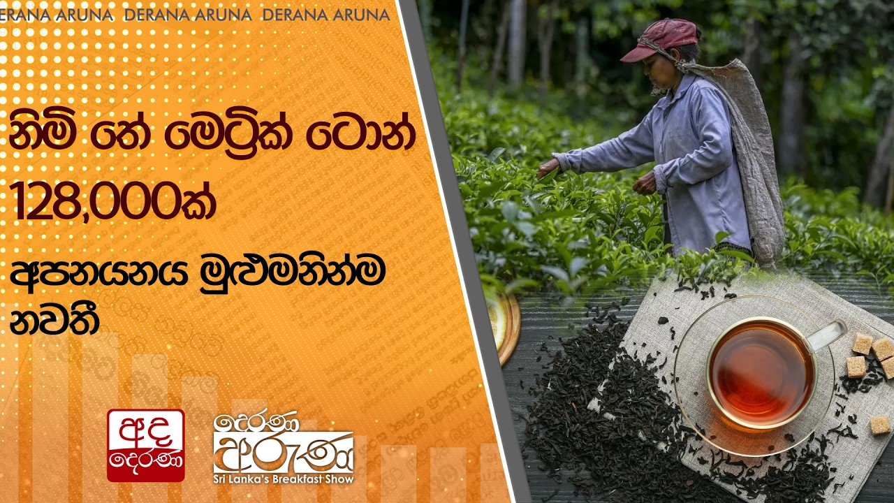 නිමි තේ මෙට්‍රික් ටොන් 128,000ක් අපනයනය මුළුමනින්ම නවතී  | Ada Derana