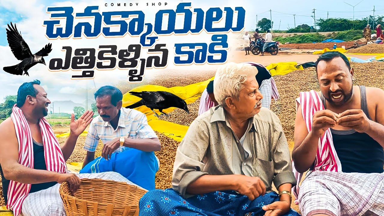 శనక్కాయల రాసిలో కాకి  #Jabardasthcomedy # village comedy