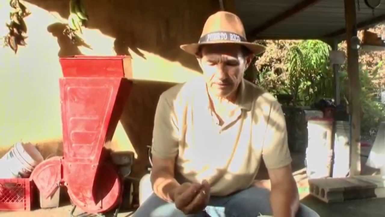 Del campo a la mesa 0402 (3/3)