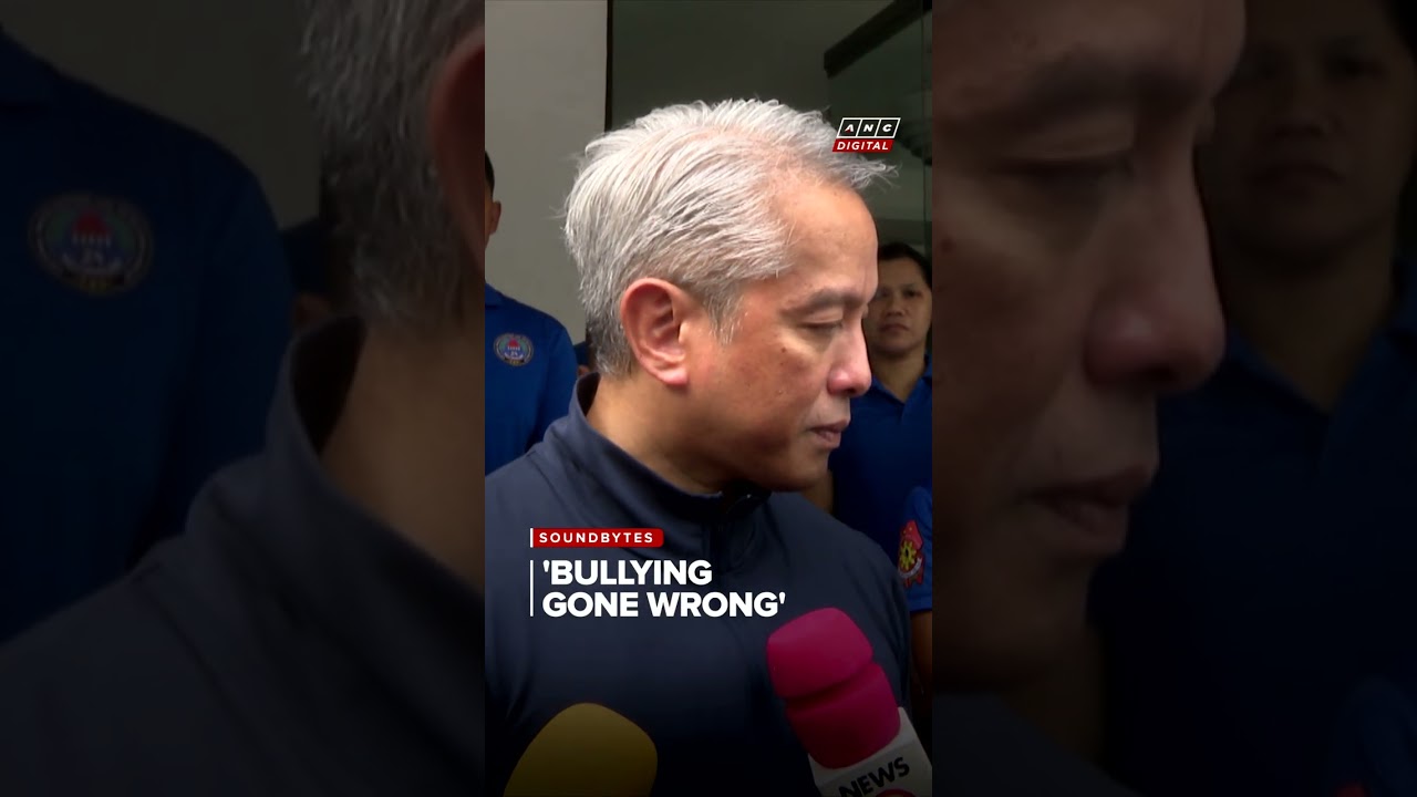 DILG chief Jonvic Remulla says he supports amending Juvenile Justice Law | ANC