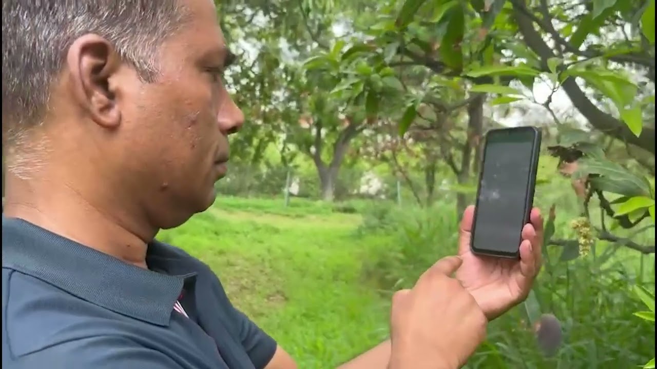 National Pest Surveillance System: Transforming Crop Protection with AI and Real-Time Surveillance
