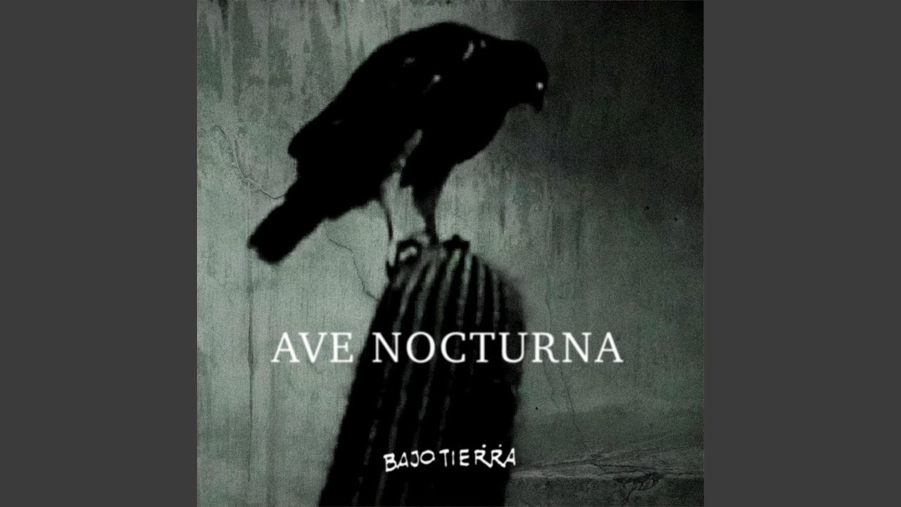 Ave Nocturna