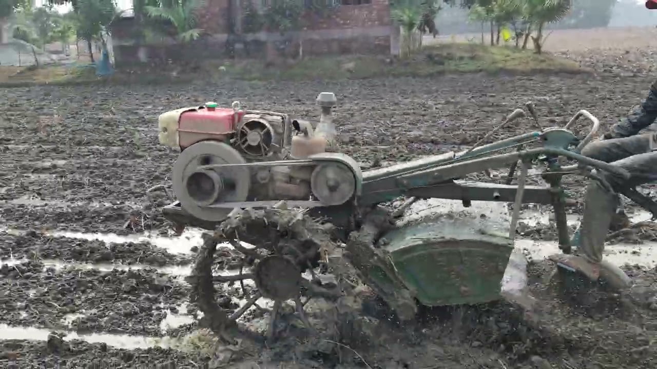 পাওয়ার টিলার দিয়ে ধানের জমি চাষ | Land Preparation for Rice Farming with Power Tiller