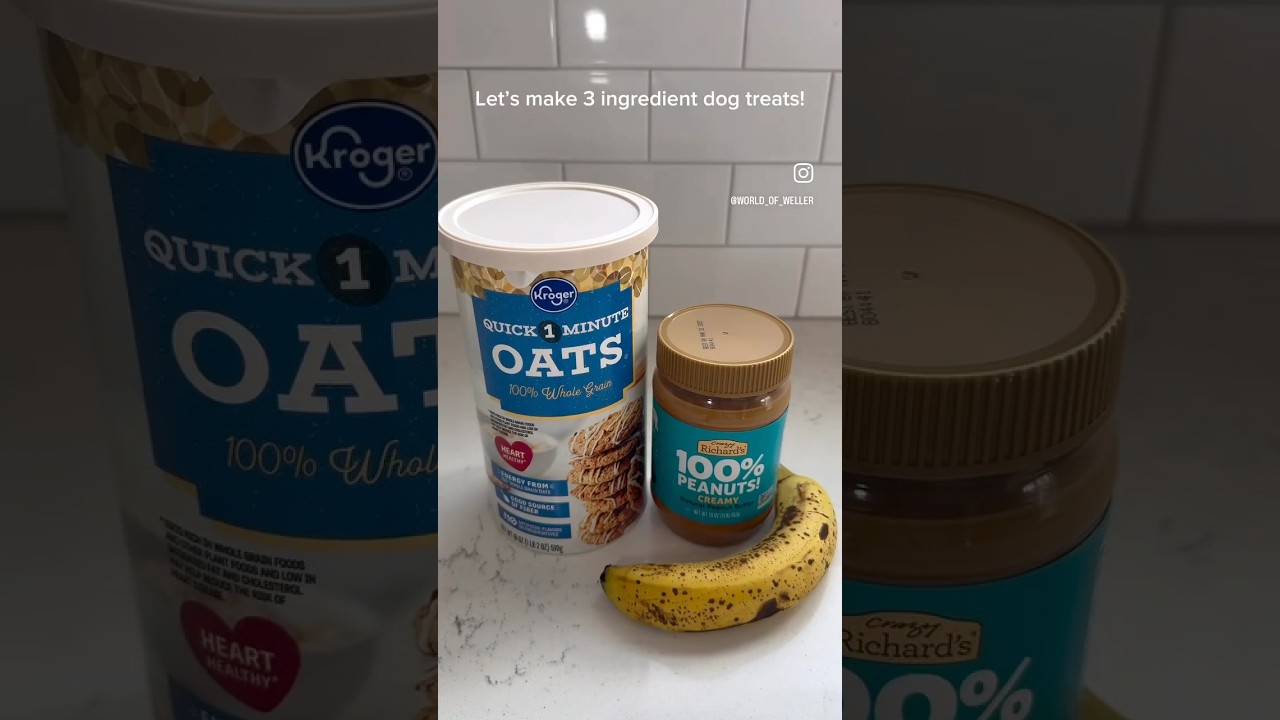 Let’s make 3 ingredient dog treats!@crazyrichardspb 