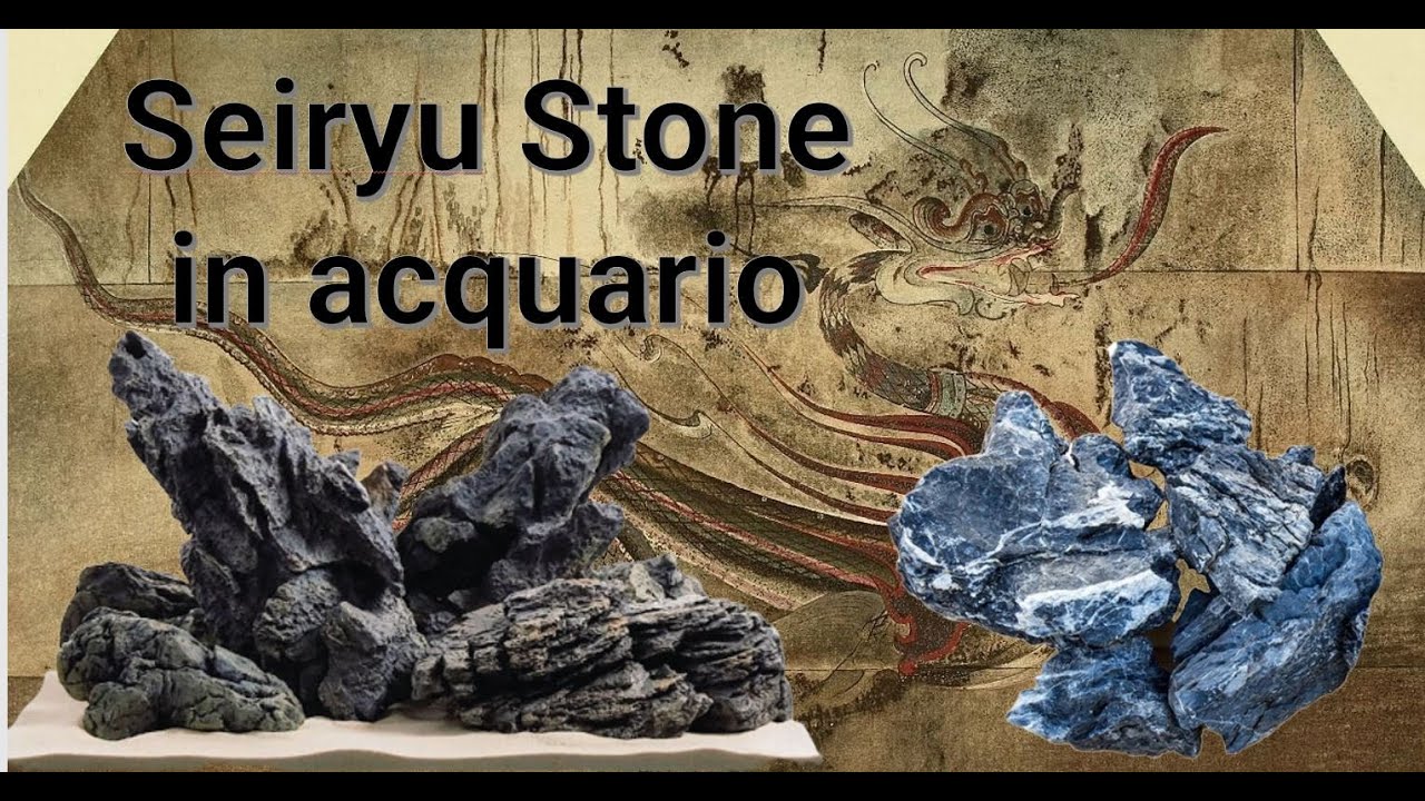 Utilizzo di Seiryu Stone in acquario. Come gestire le rocce calcaree in acquario low tech e hi-tech