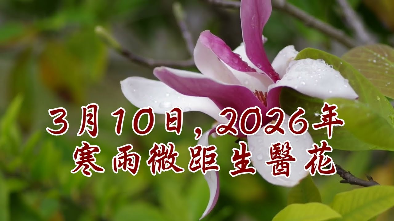 2026-03-10寒雨微距生醫花