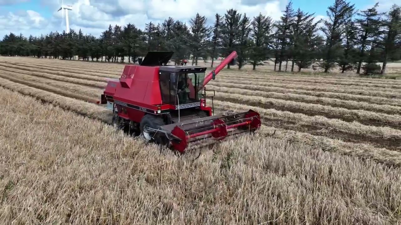 Høst 2025 med dronningborg 7500🔥🌾#farmer #dronningborg #farming #happy 